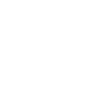 twin doves
